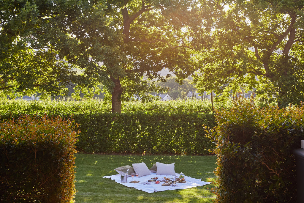 Picnicking in the vineyards