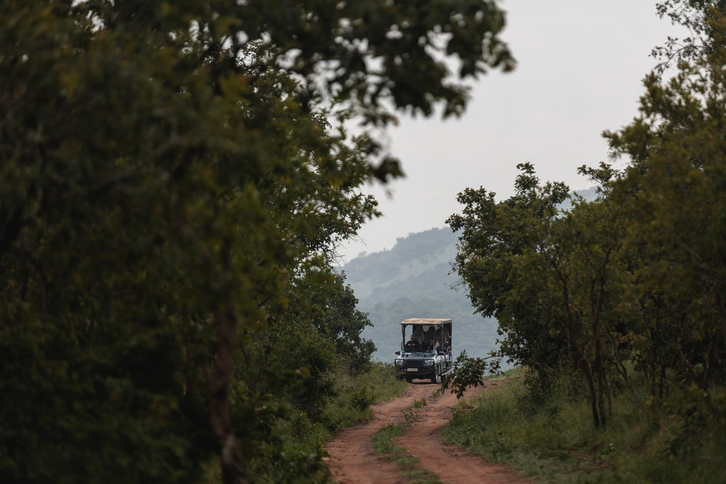 Wilderness Magashi Peninsula – Game Drives