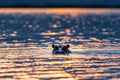 Wilderness Magashi Peninsula - Boating *