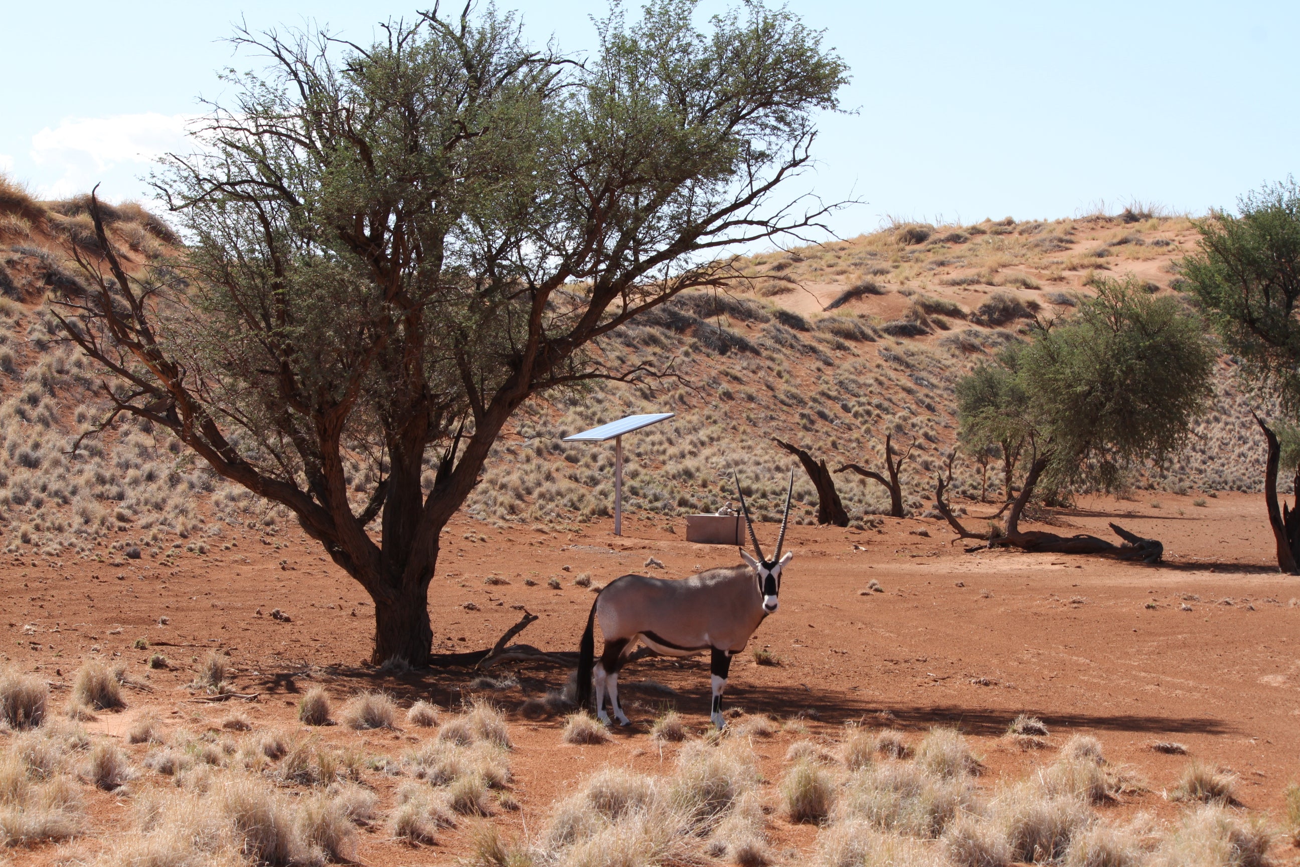 Namib Dune Star Camp