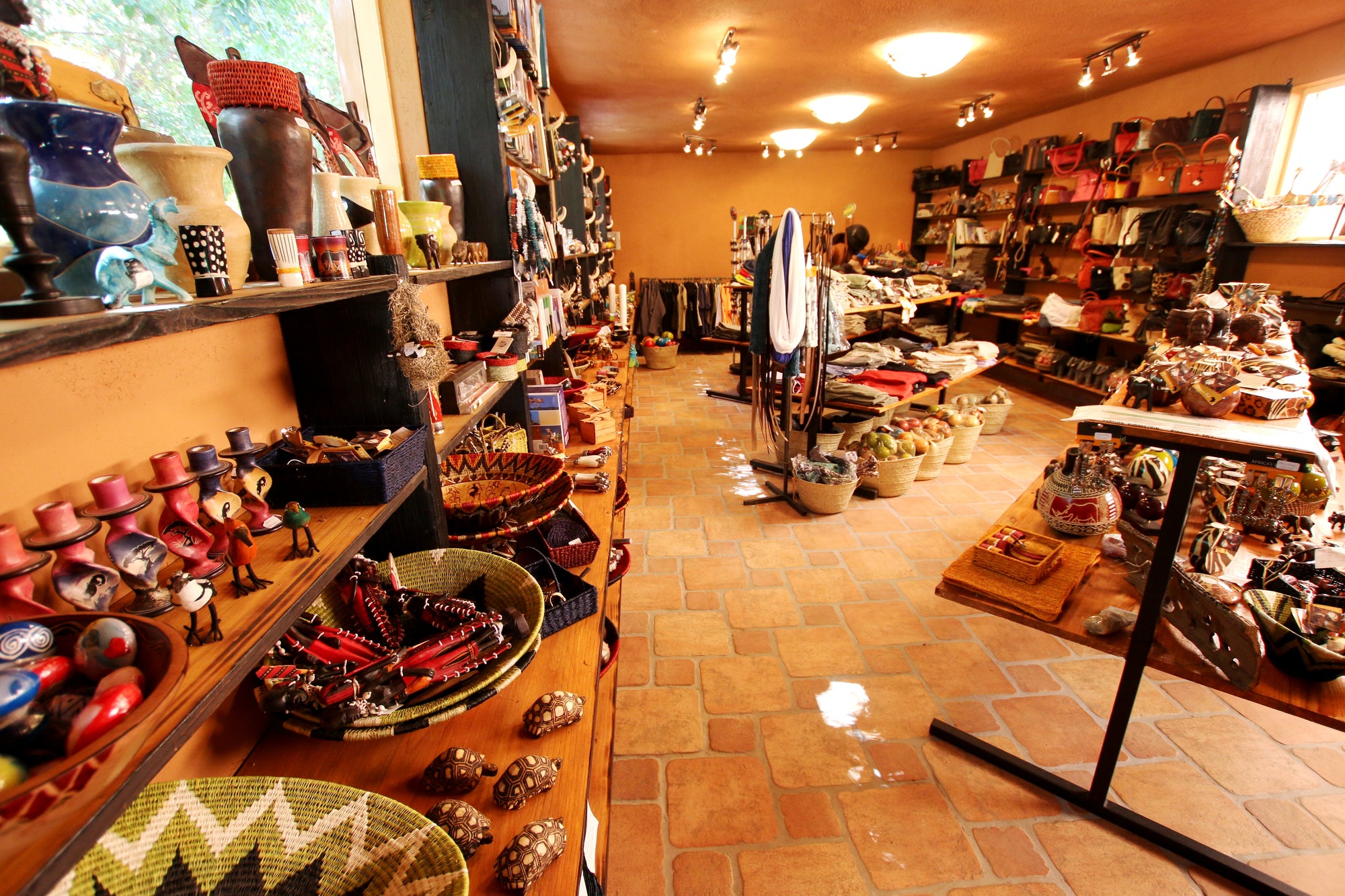 Curio Shop