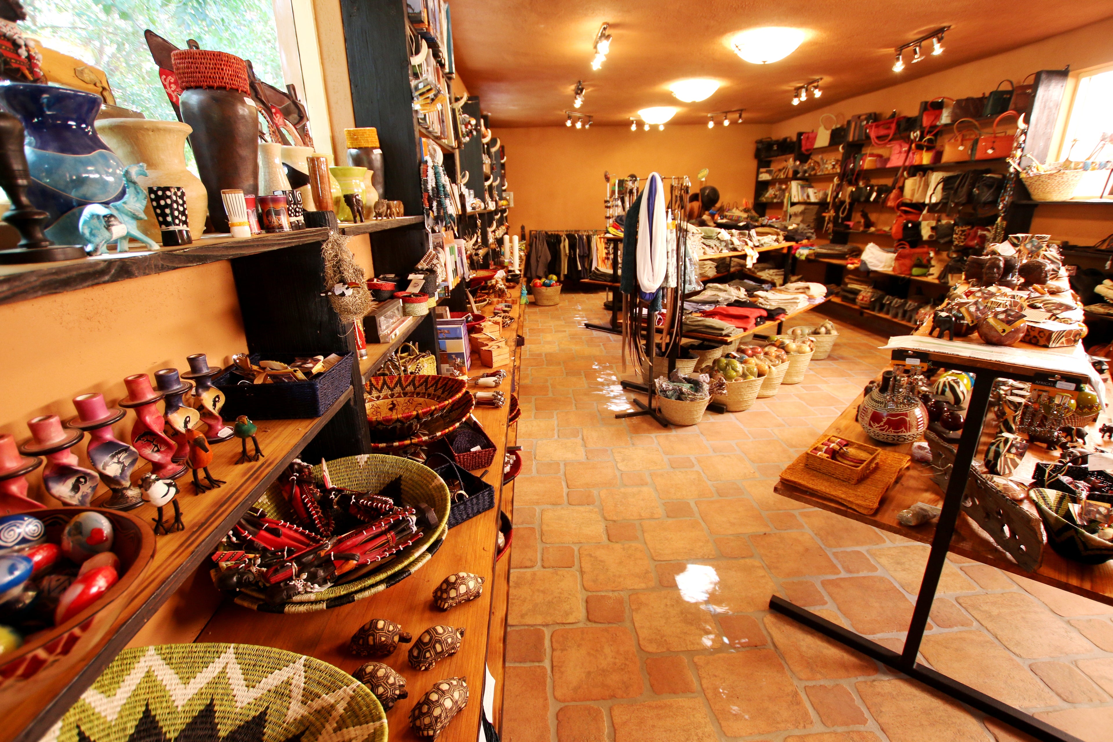 Curio Shop