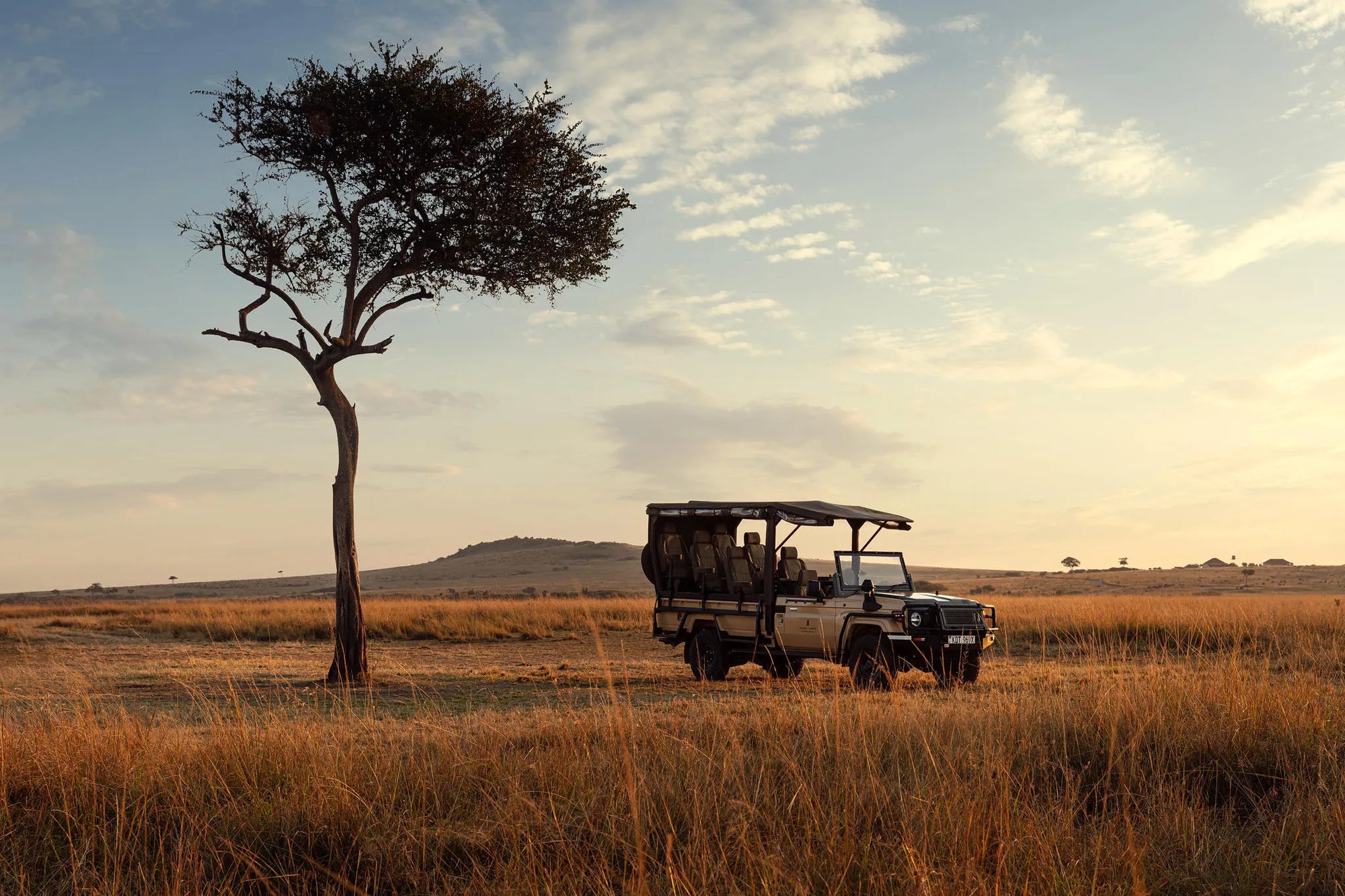 Gamedrive at The Ritz-Carlton, Masai Mara Safari Camp, Masai Mara National Reserve, Kenya.