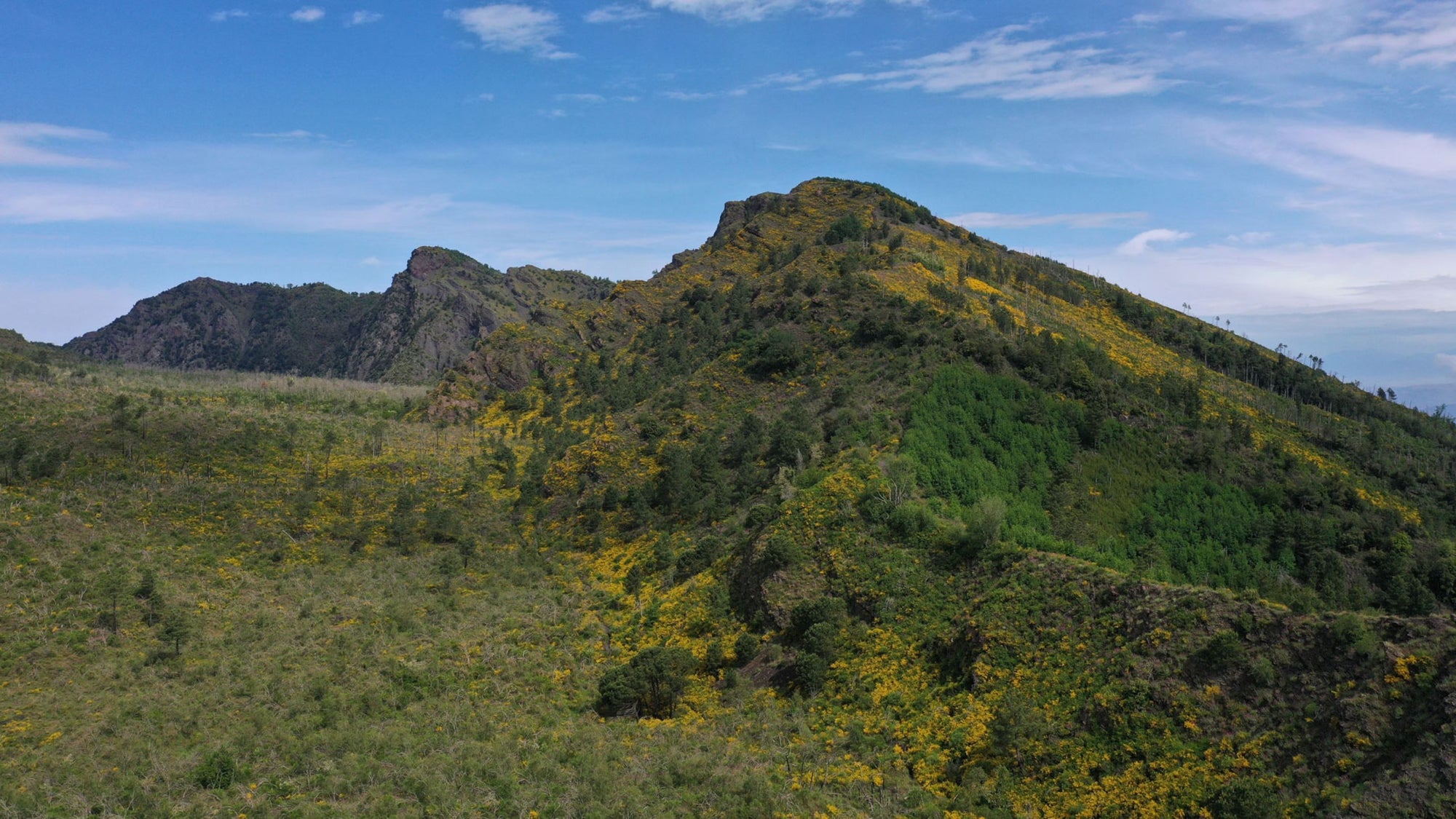 Vesuvius National Park