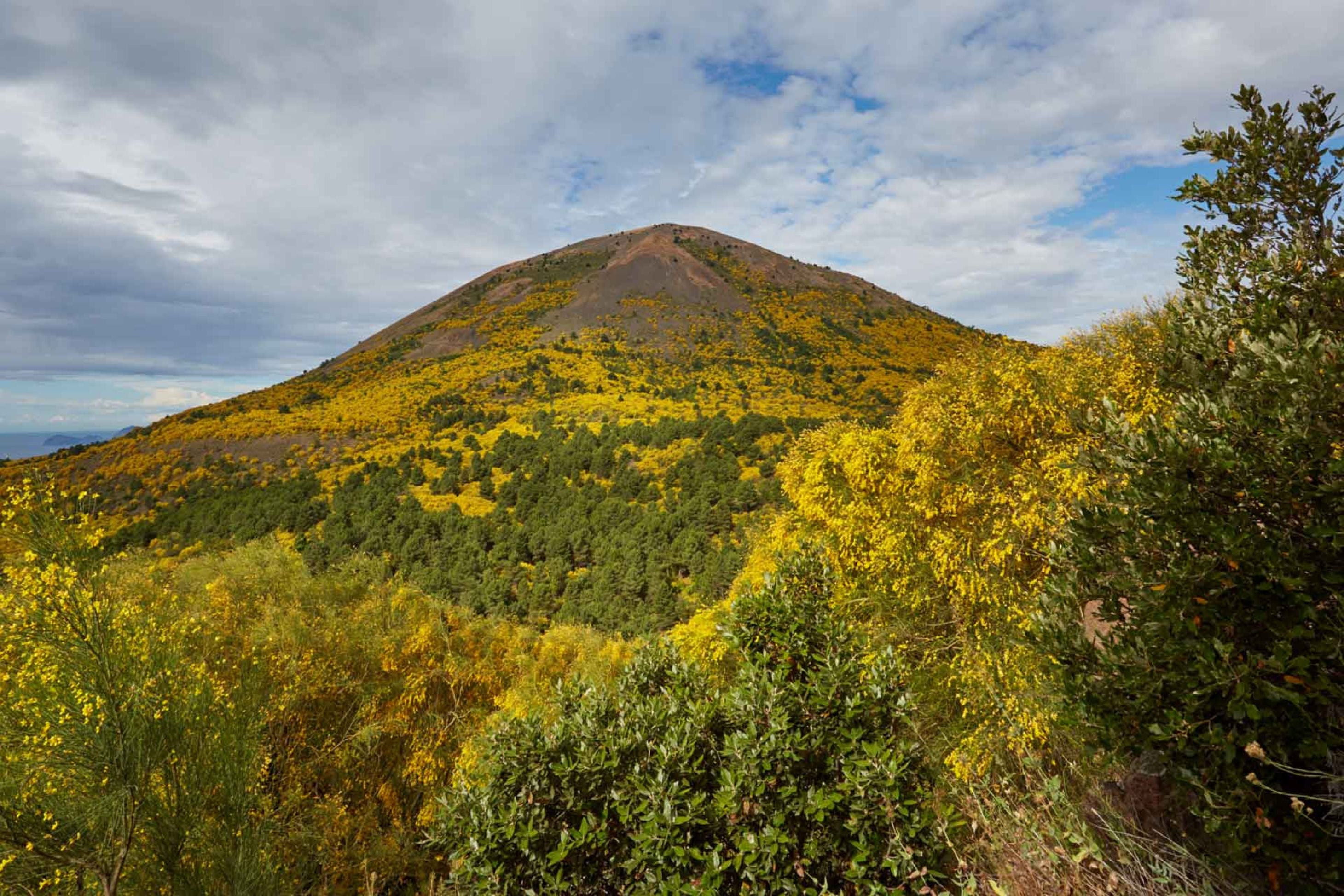 Vesuvius National Park