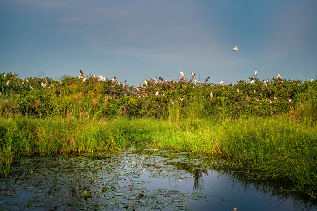 Gadikwa Lagoon