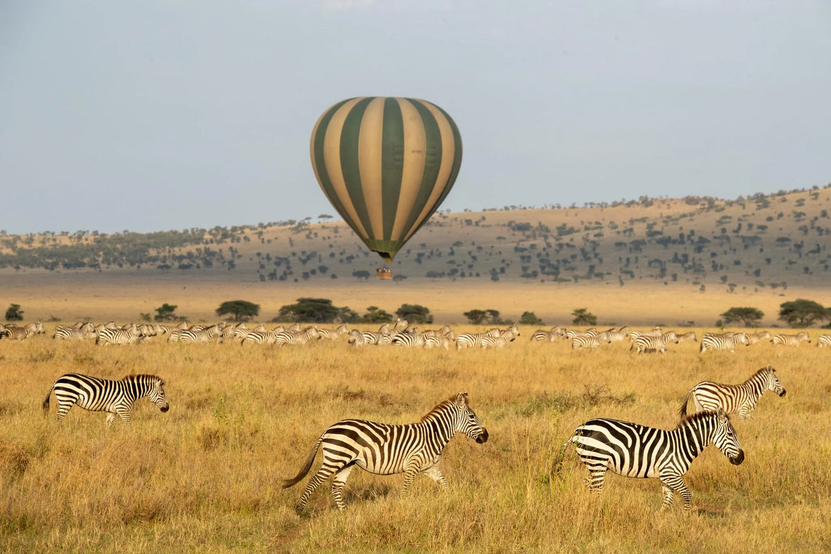 Hot Air Balloon
