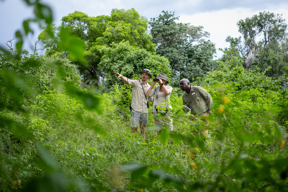 The Ultra Portfolio - Private Birding Safari