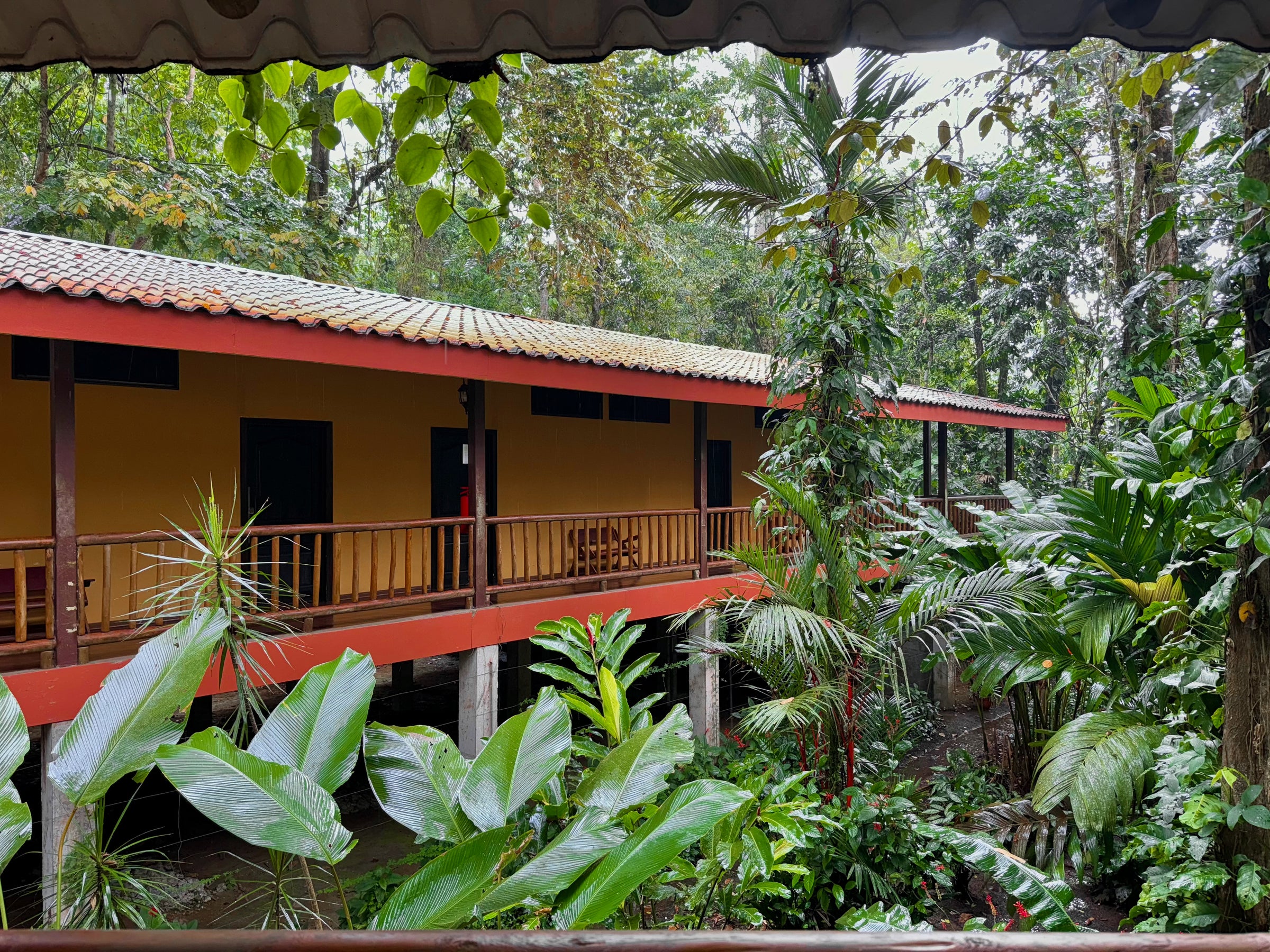 Hotel El Bambú