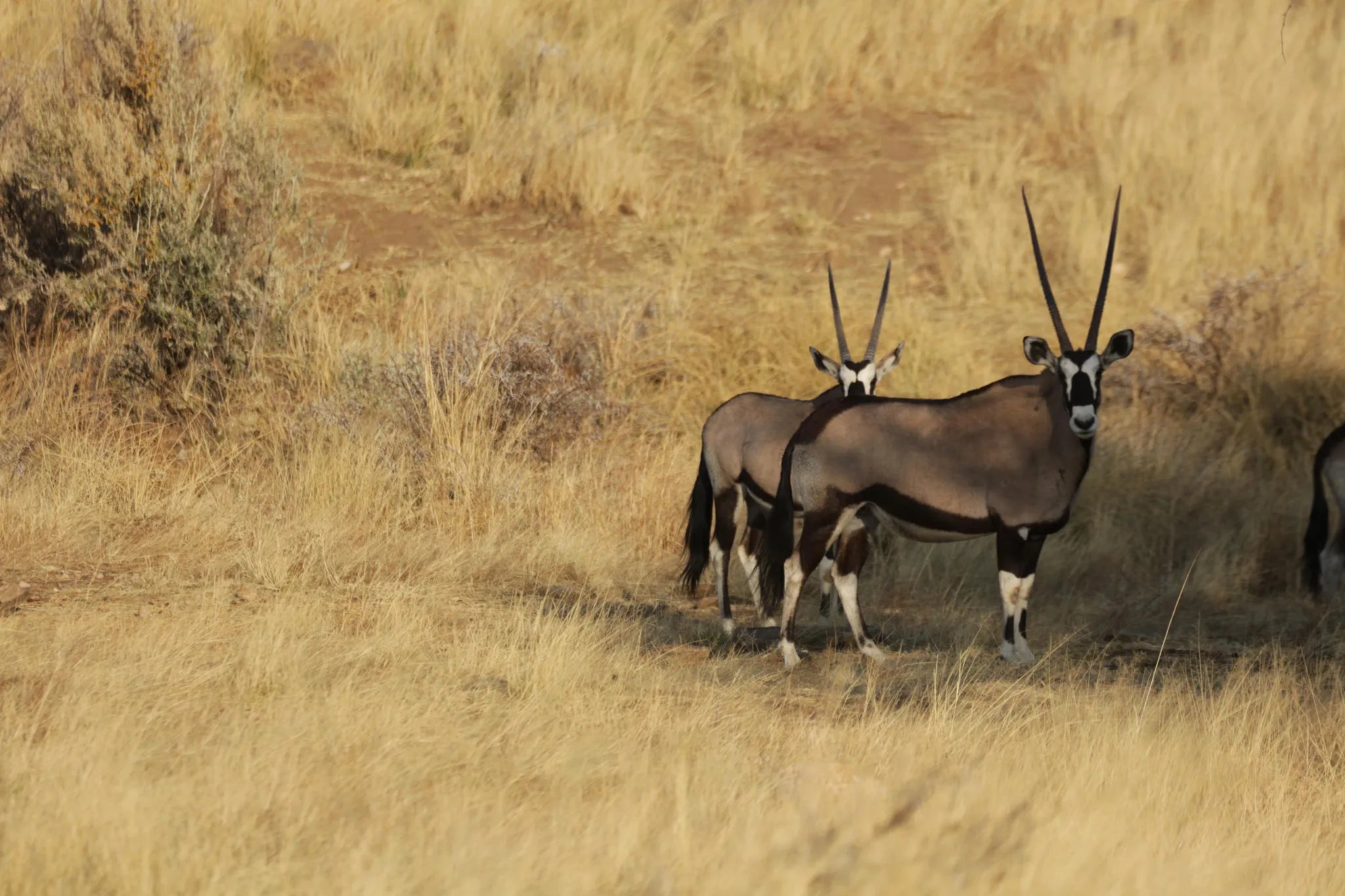 Gallery image 6.