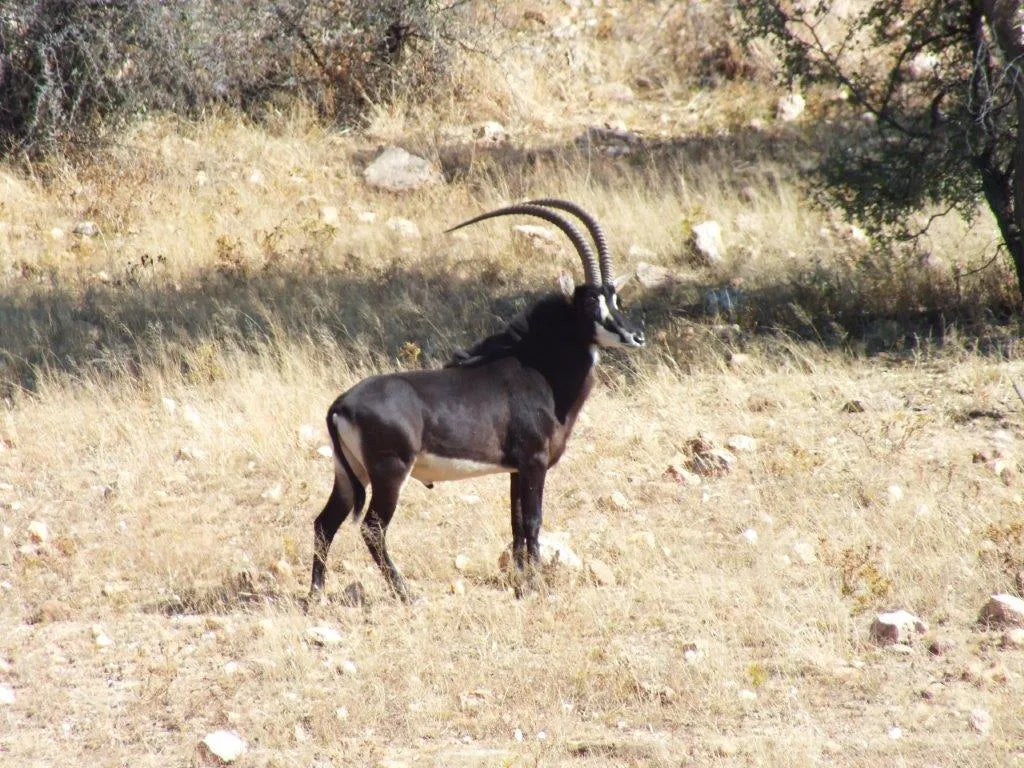 Gallery image 22.