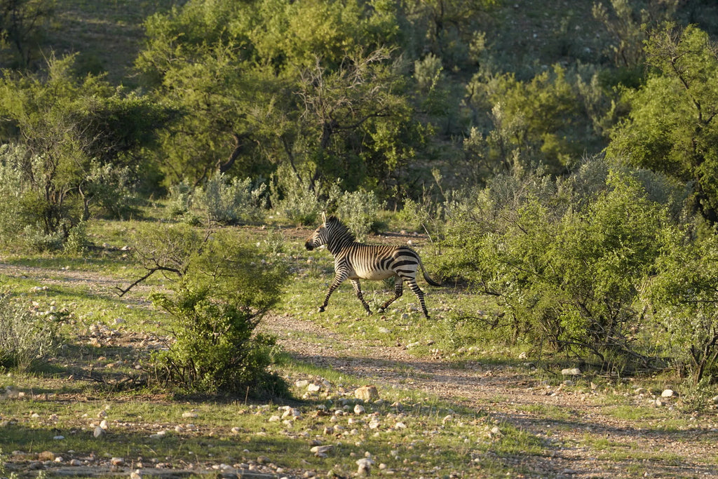 Gallery image 28.