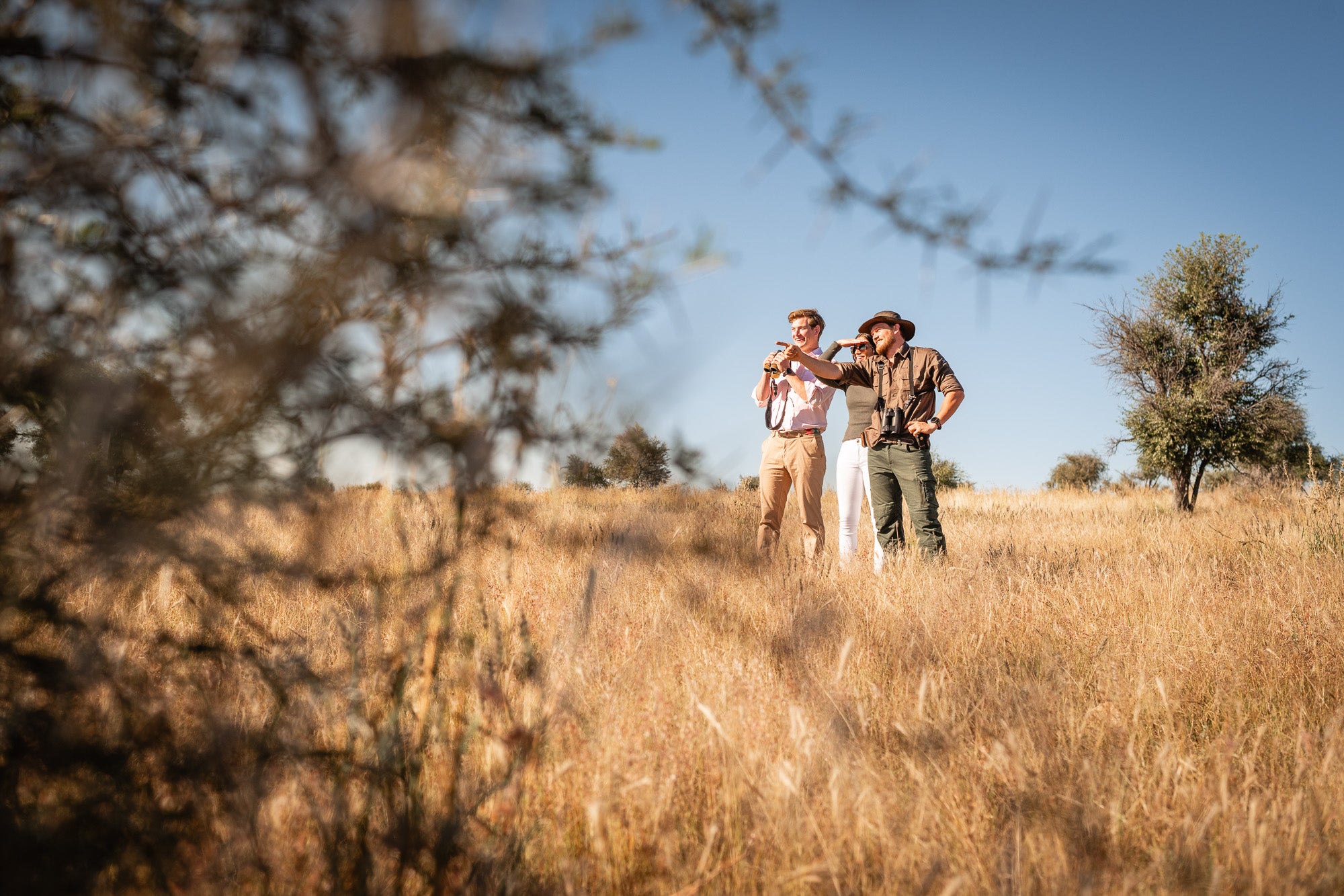 Waldeck Namibia — Game/ Nature Walk