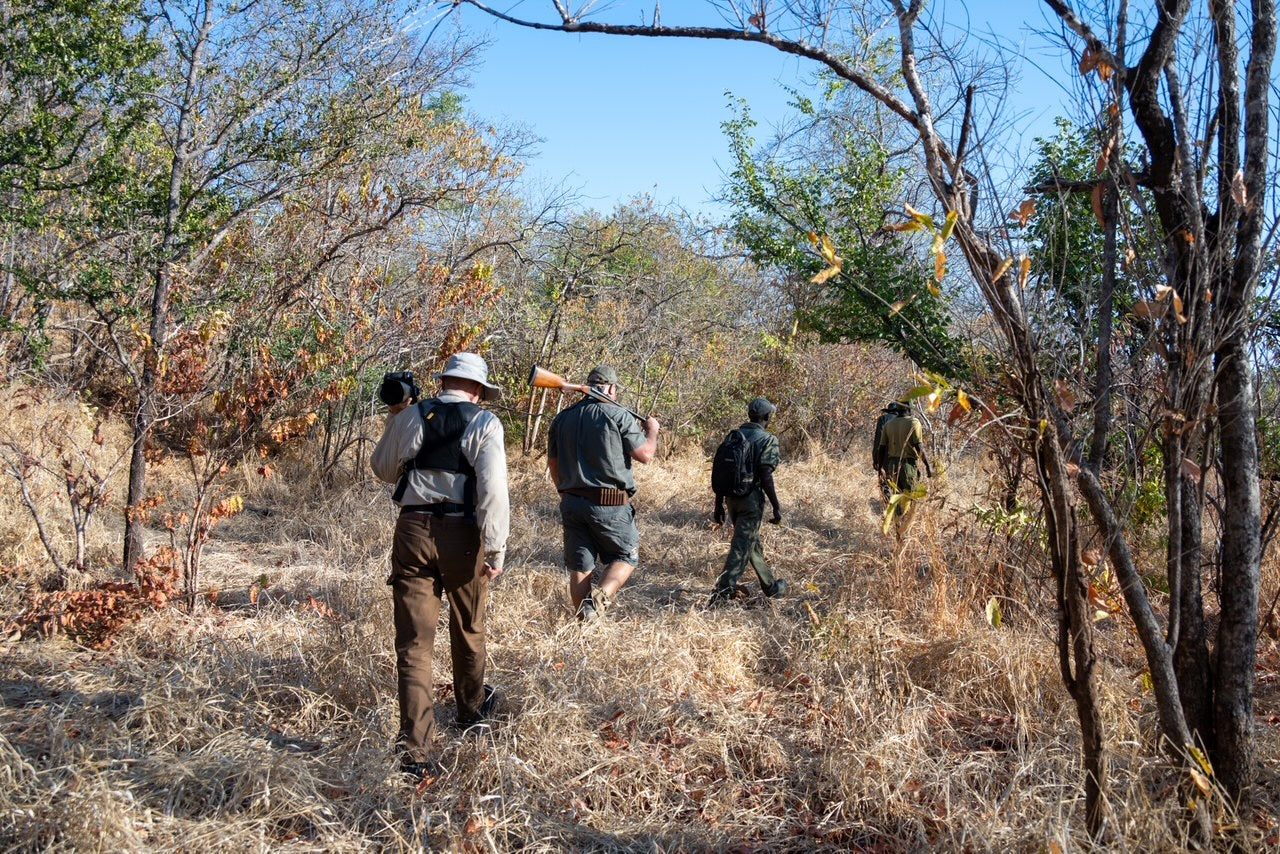 ATC - Malindi Station Camp — Afternoon game walk