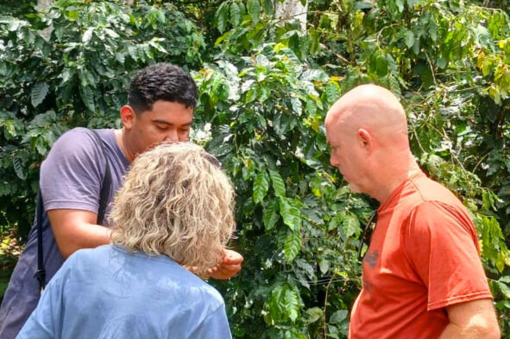 Chocolate & Cacao Farm