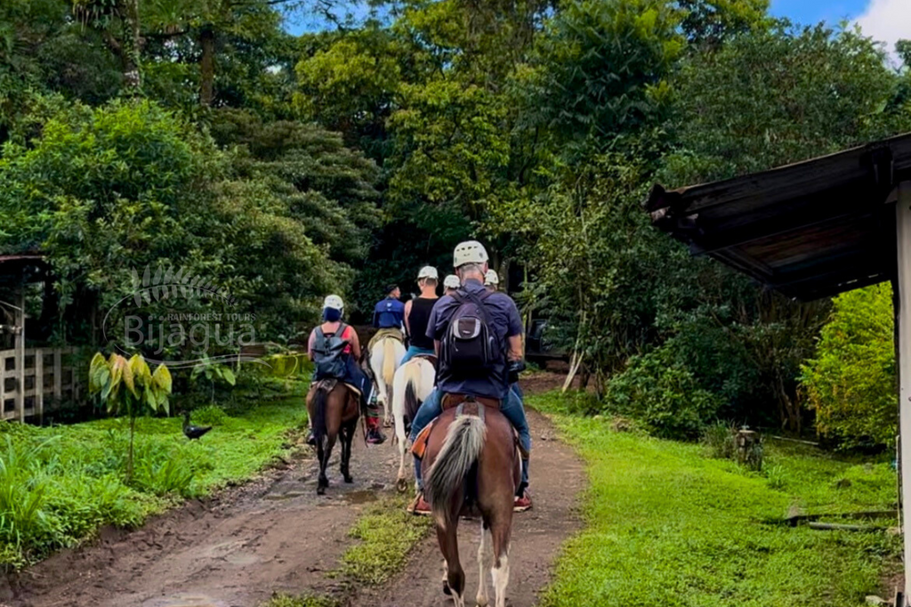 Rural Hourseback Riding Tour