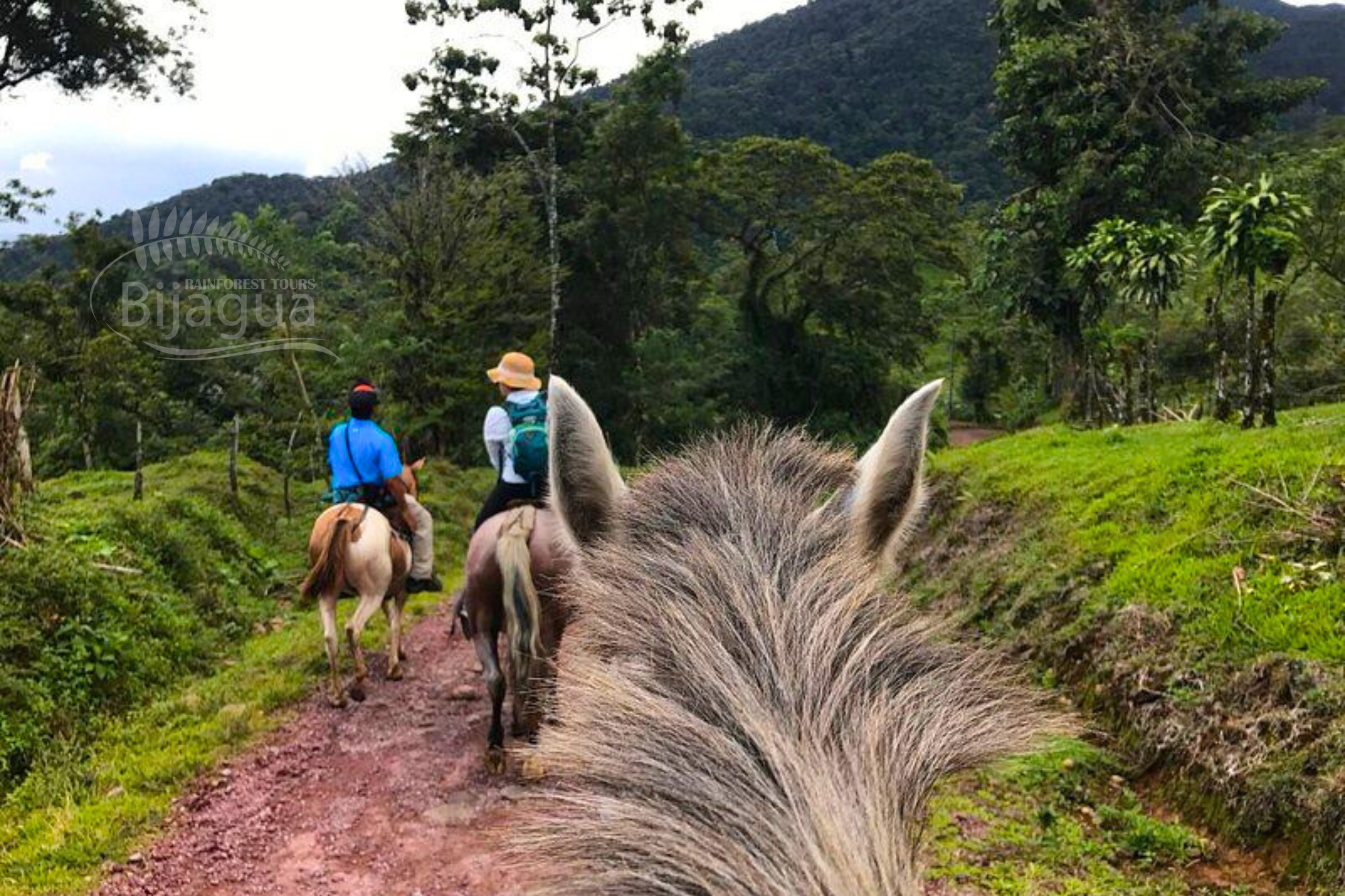 Rural Hourseback Riding Tour
