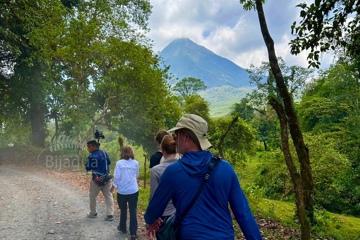Bijagua Rainforest Tours / Arenal One Day Tour