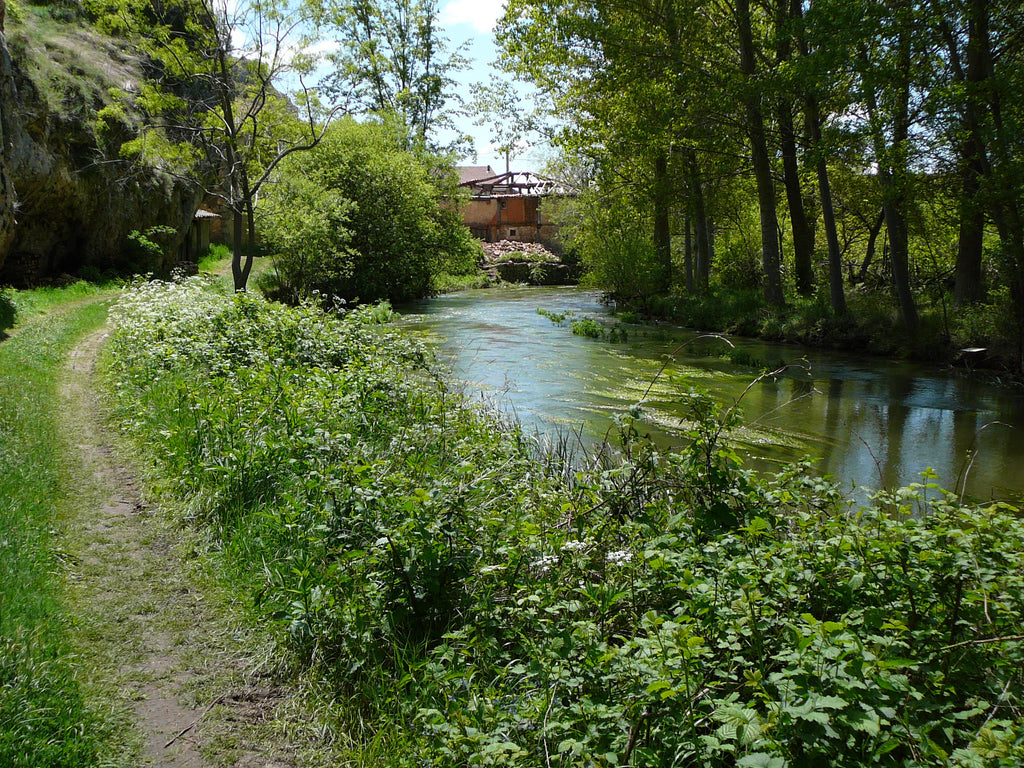Parque Natural Cañón del Río Lobos
