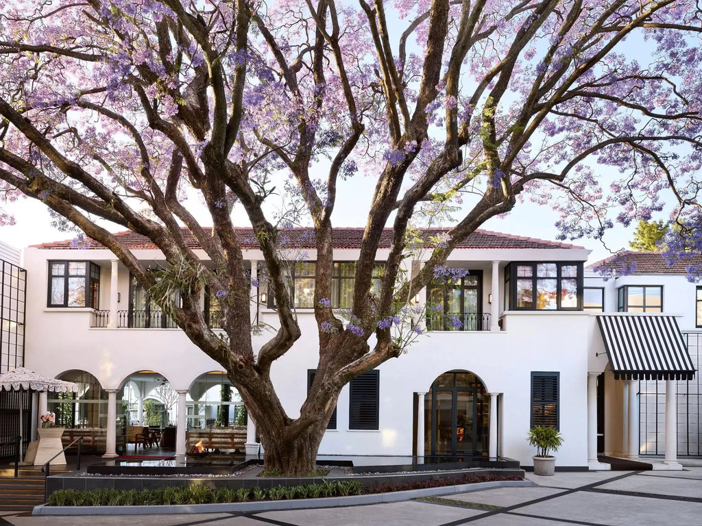Park Hyatt Johannesburg, Johannesburg, South Africa featured image.