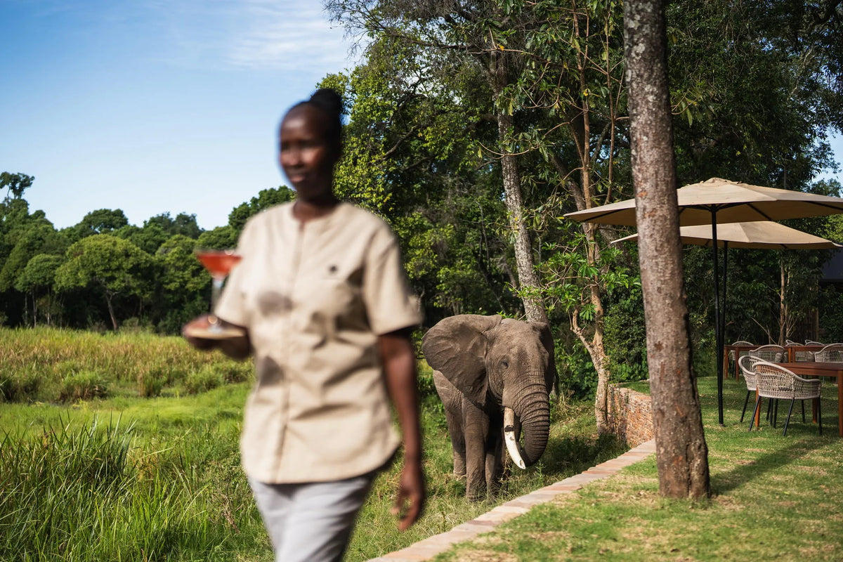 Wilderness Mara Spa