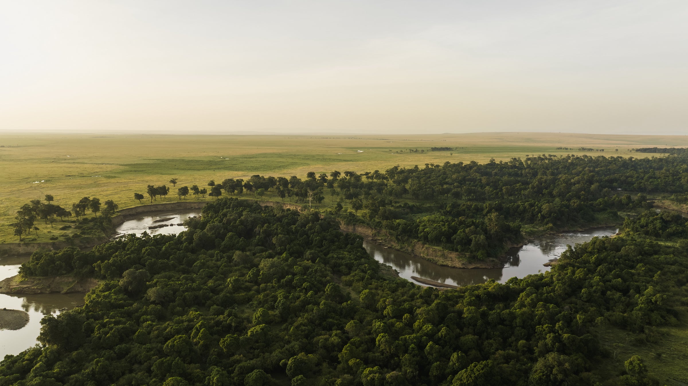 Wilderness Mara