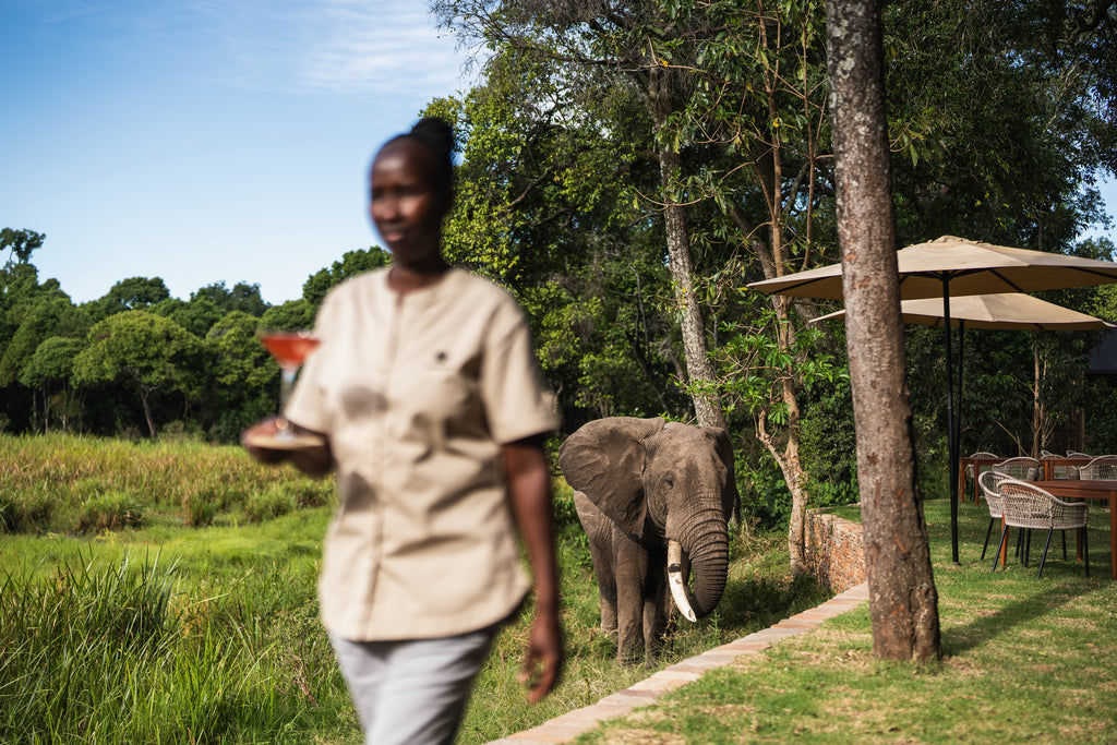 Wilderness Mara