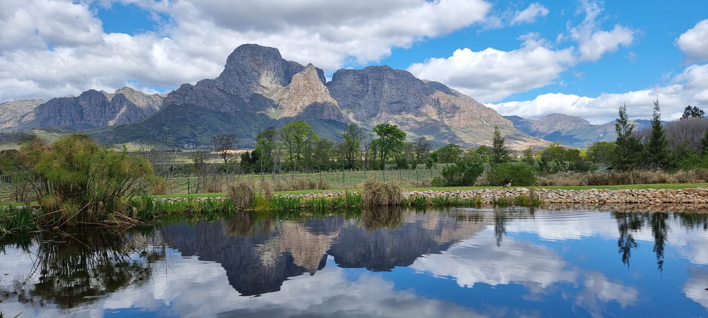 Widevision Travel - Wine Tour Stellenbosch and Franschhoek or Constantia