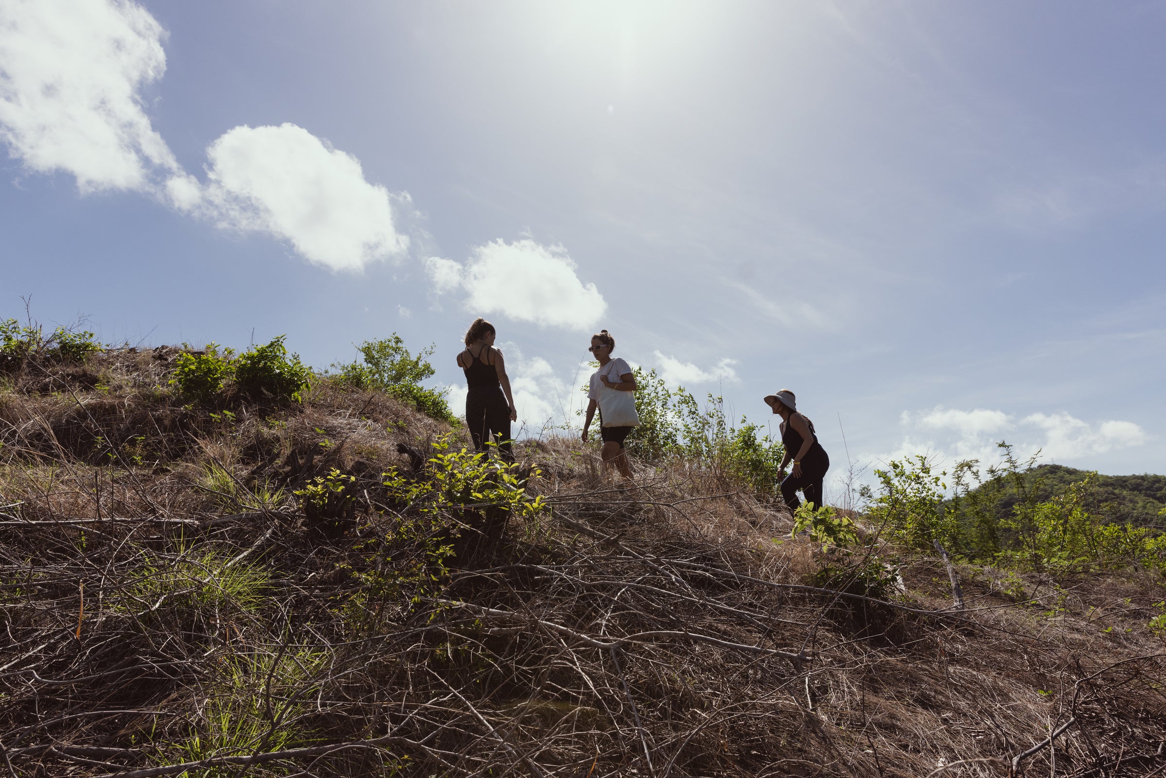 Hiking and trail running