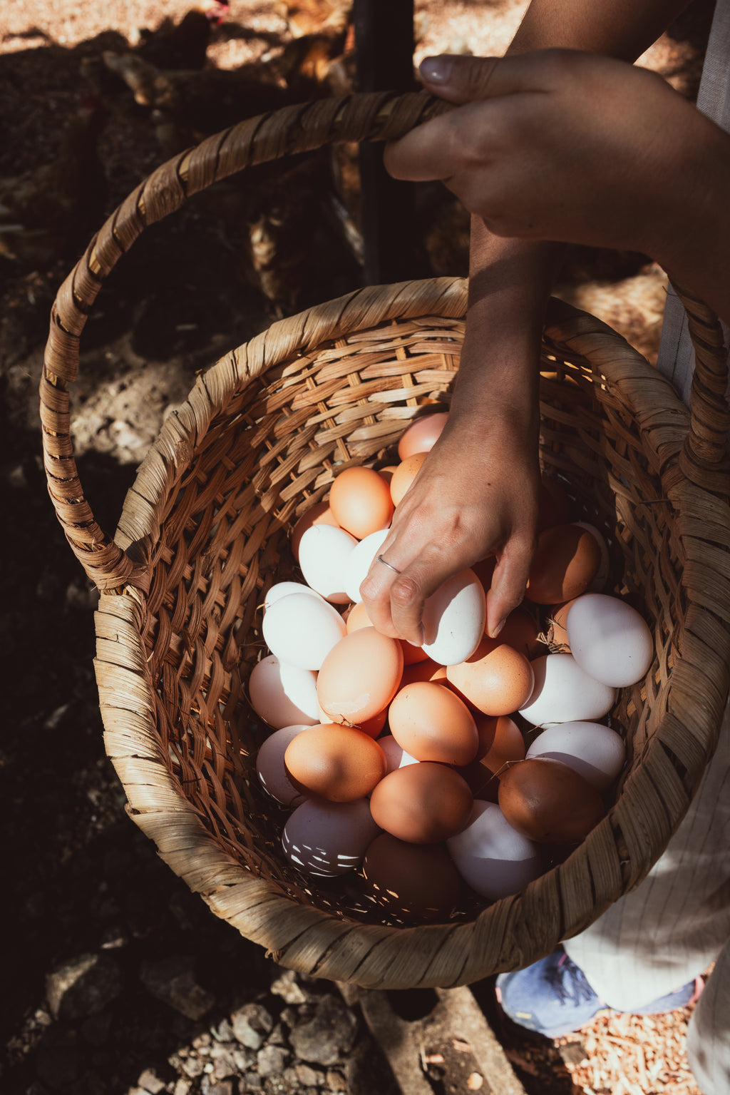 La Estancia | Farm Experience