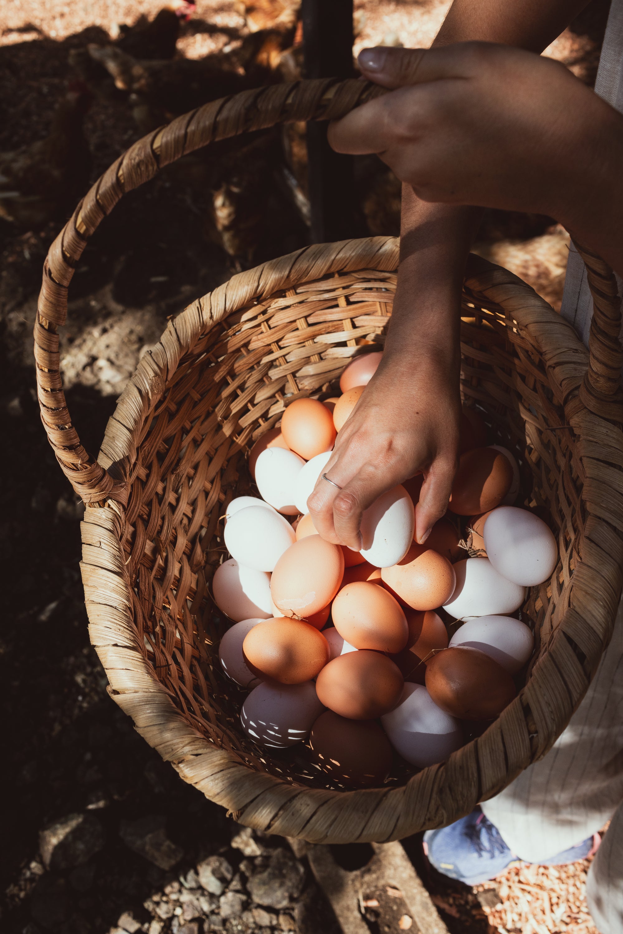 La Estancia | Farm Experience