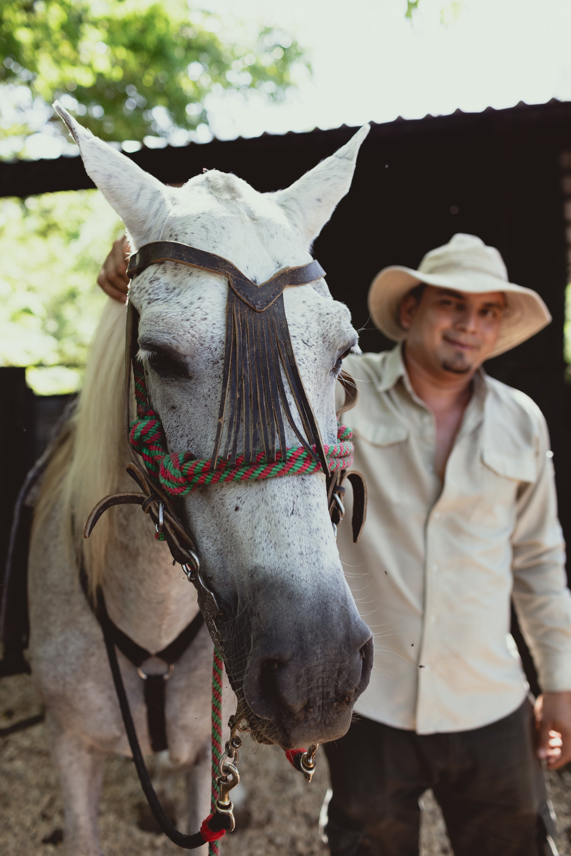 La Estancia Equine Experience
