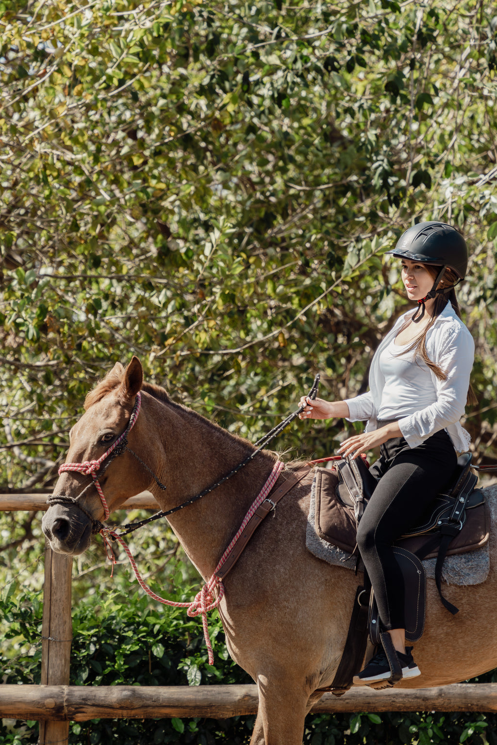 La Estancia Equine Experience