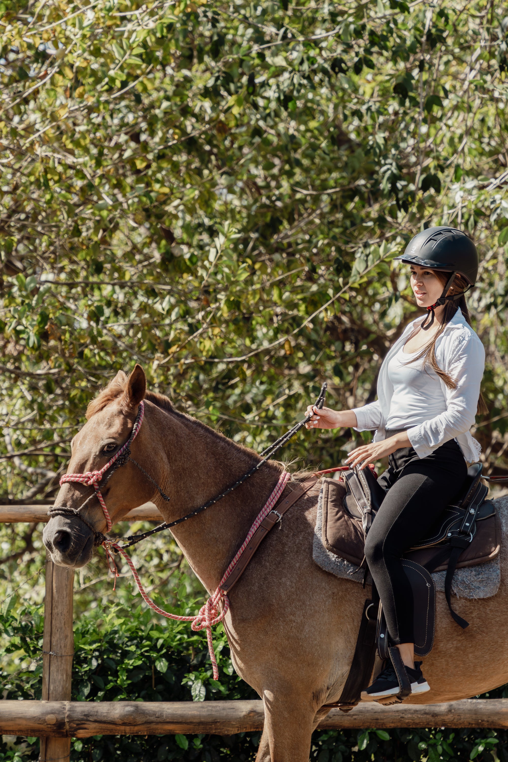 La Estancia Equine Experience