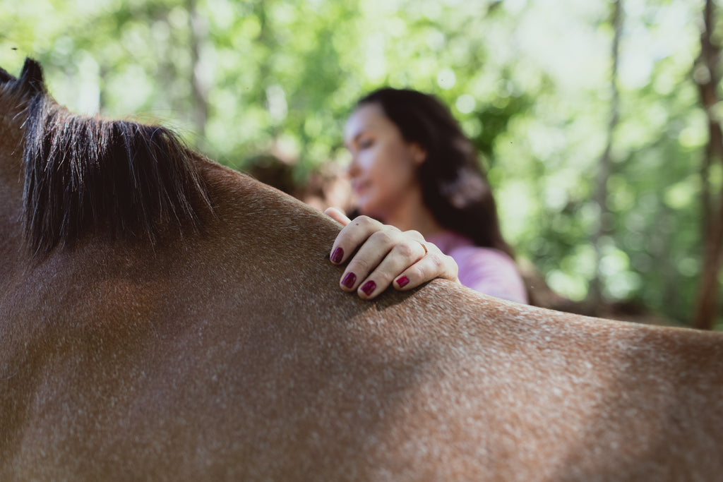 La Estancia Equine Experience