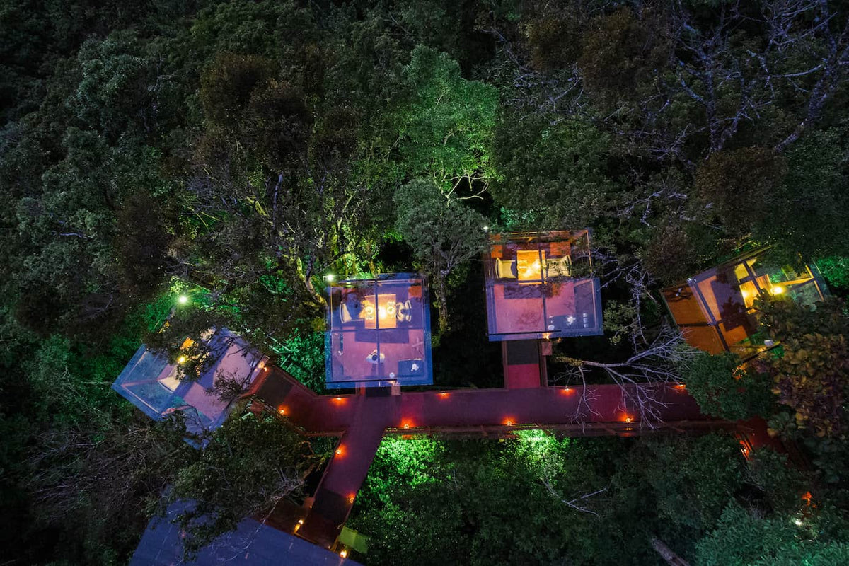 San Lucas Treetop Dining Experience