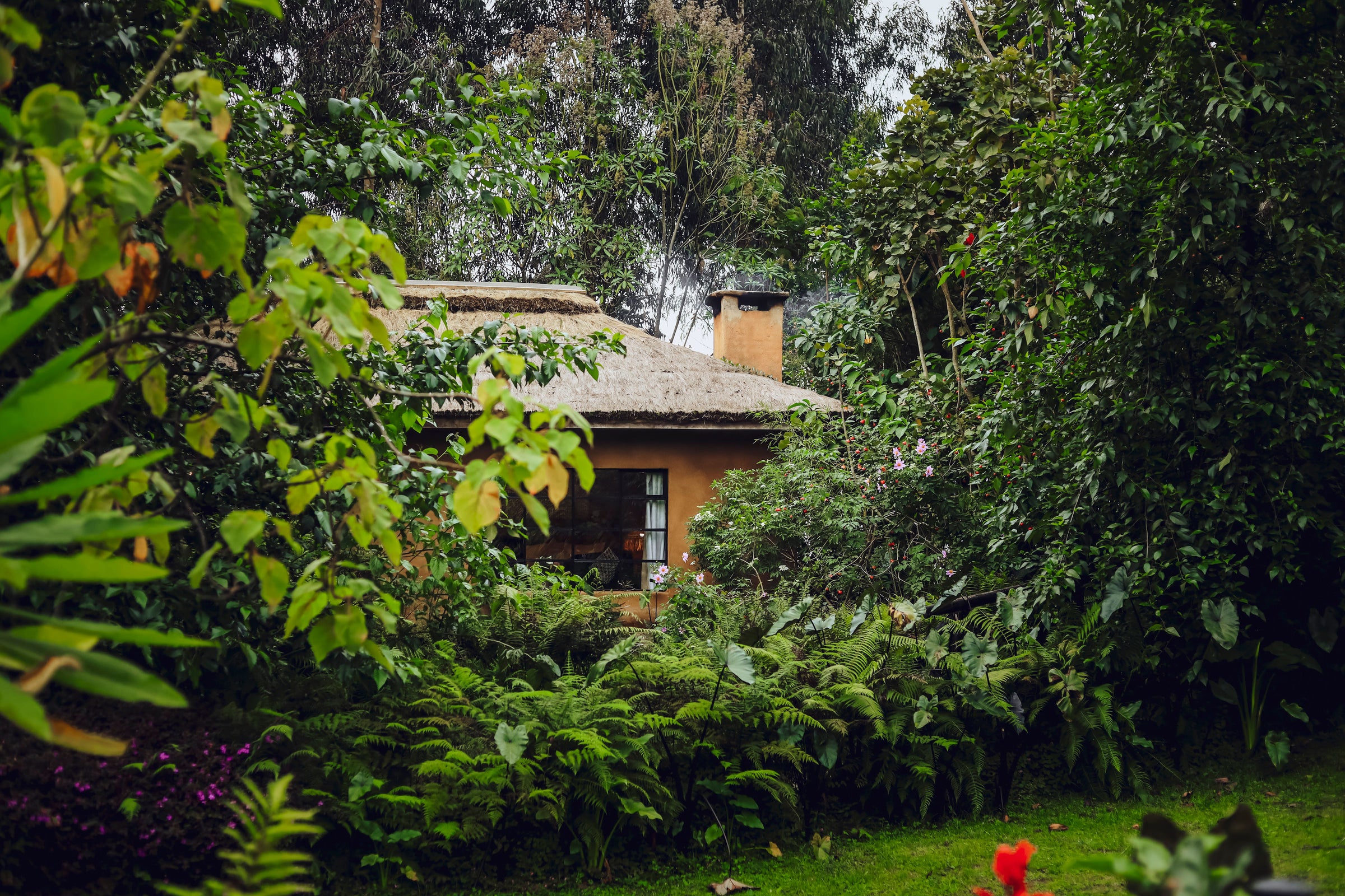 Sambora Kinigi — Bird Watching at Sambora