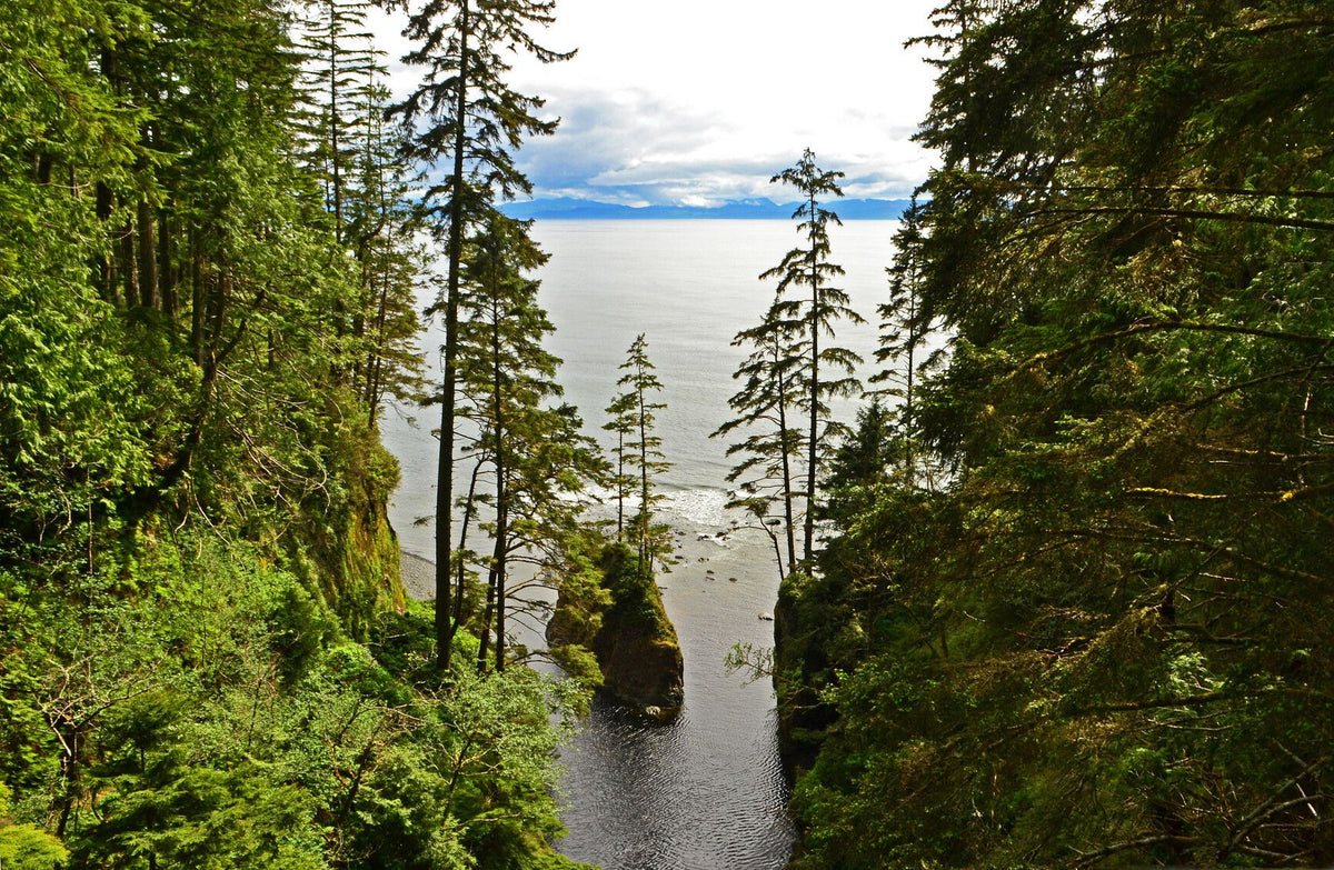 Juan De Fuca Provincial Park