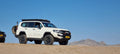 Mola Mola Namib Sand Sea Expeditions