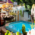 Ami Vine House