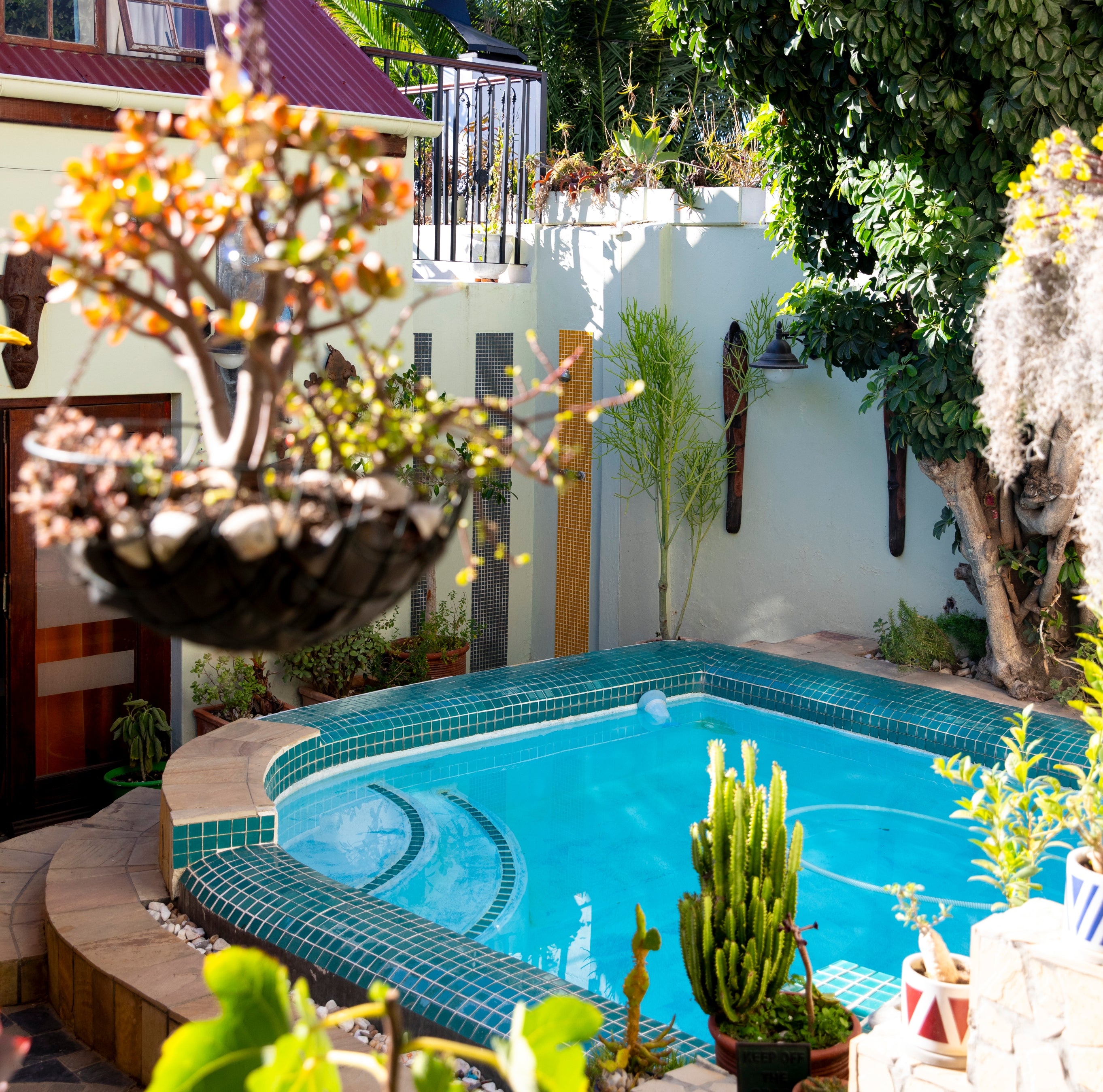 Ami Vine House