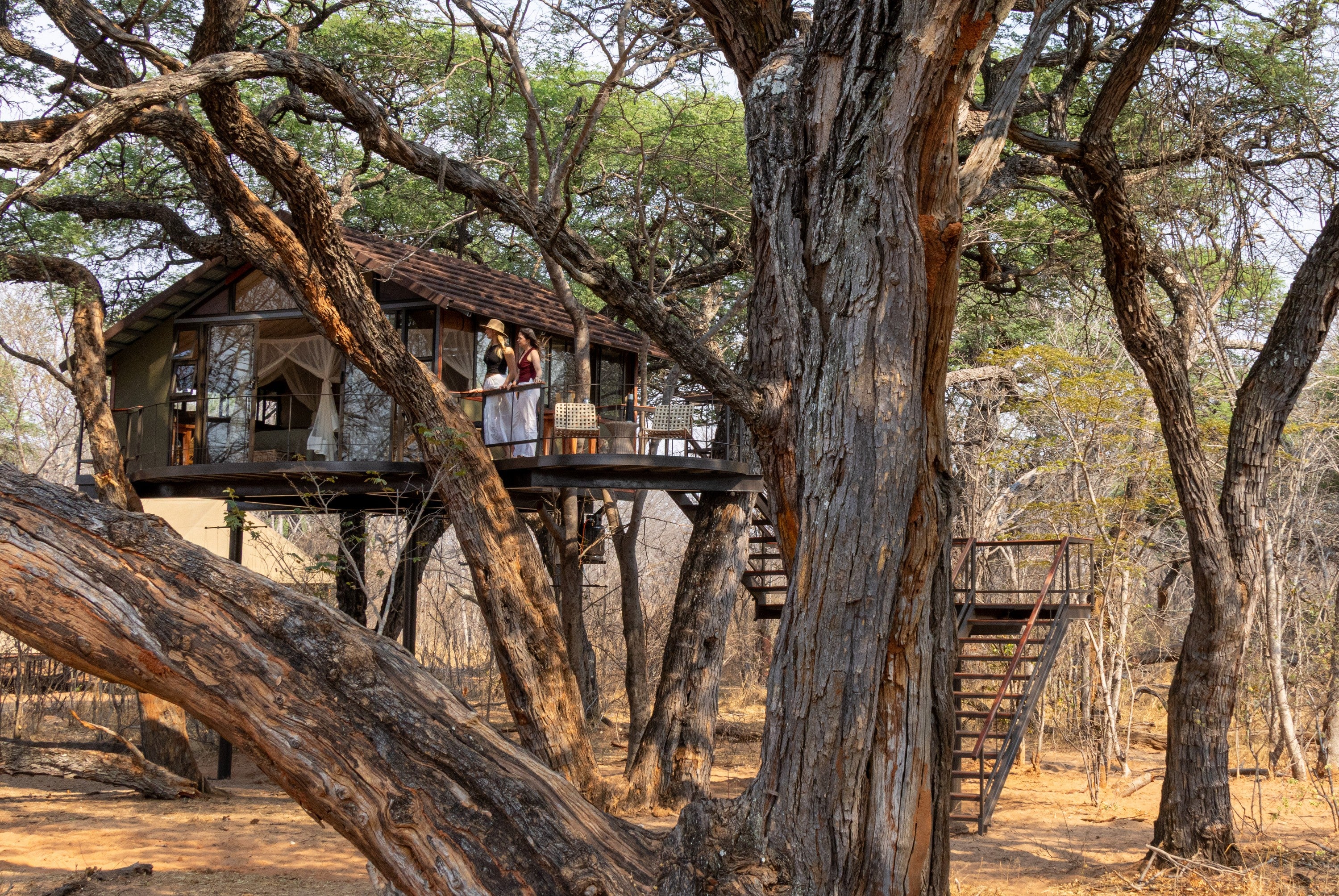 Treehouse Crombec - exterior