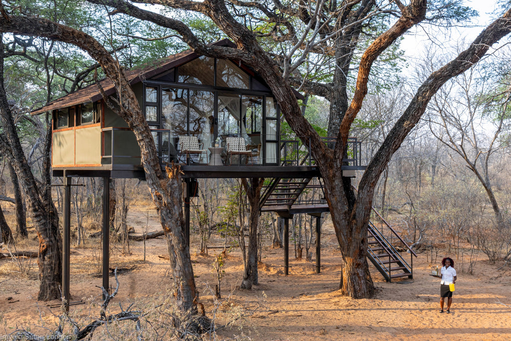 Treehouse Crombec - exterior