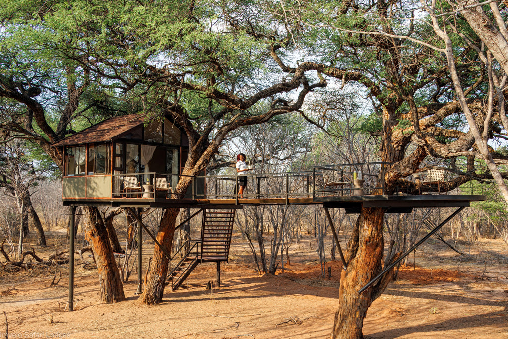 Treehouse Goshawk - exterior