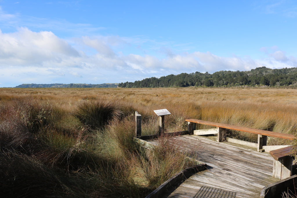 Nukuhou Saltmarsh