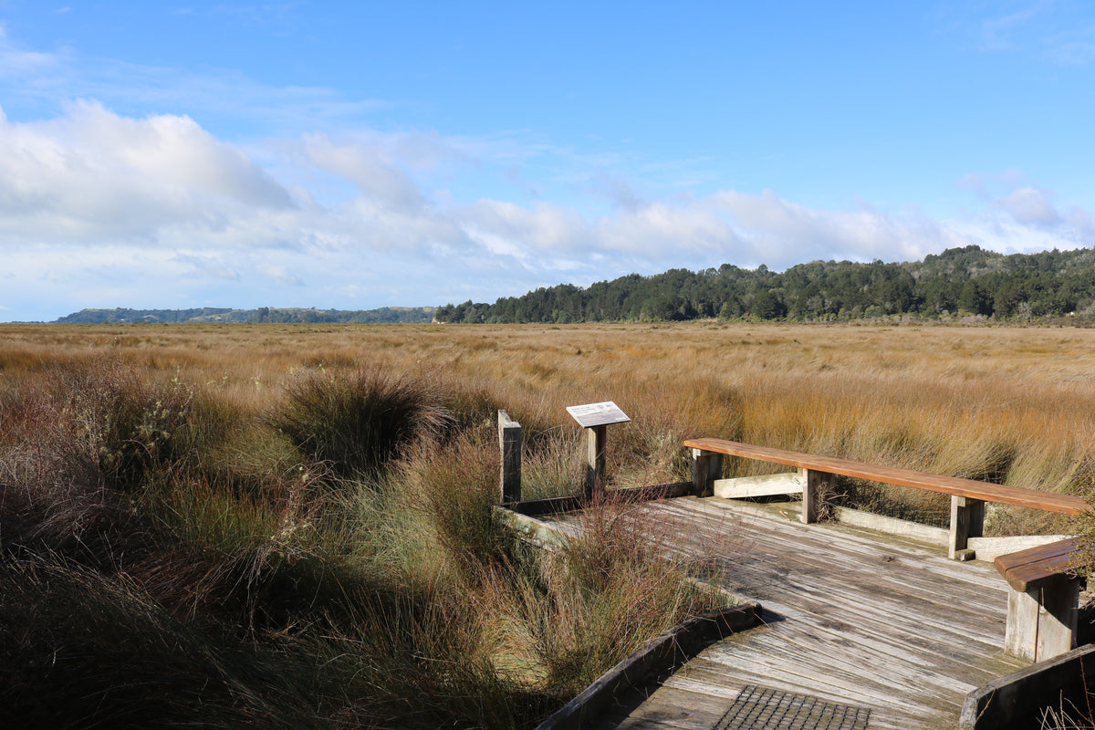 Nukuhou Saltmarsh