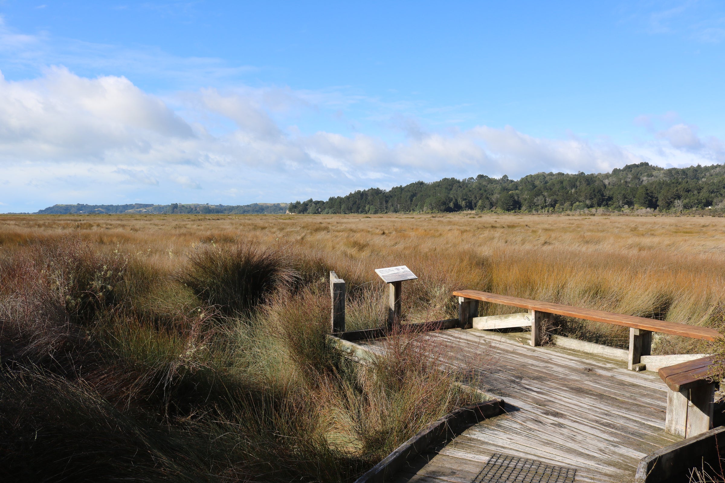 Nukuhou Saltmarsh
