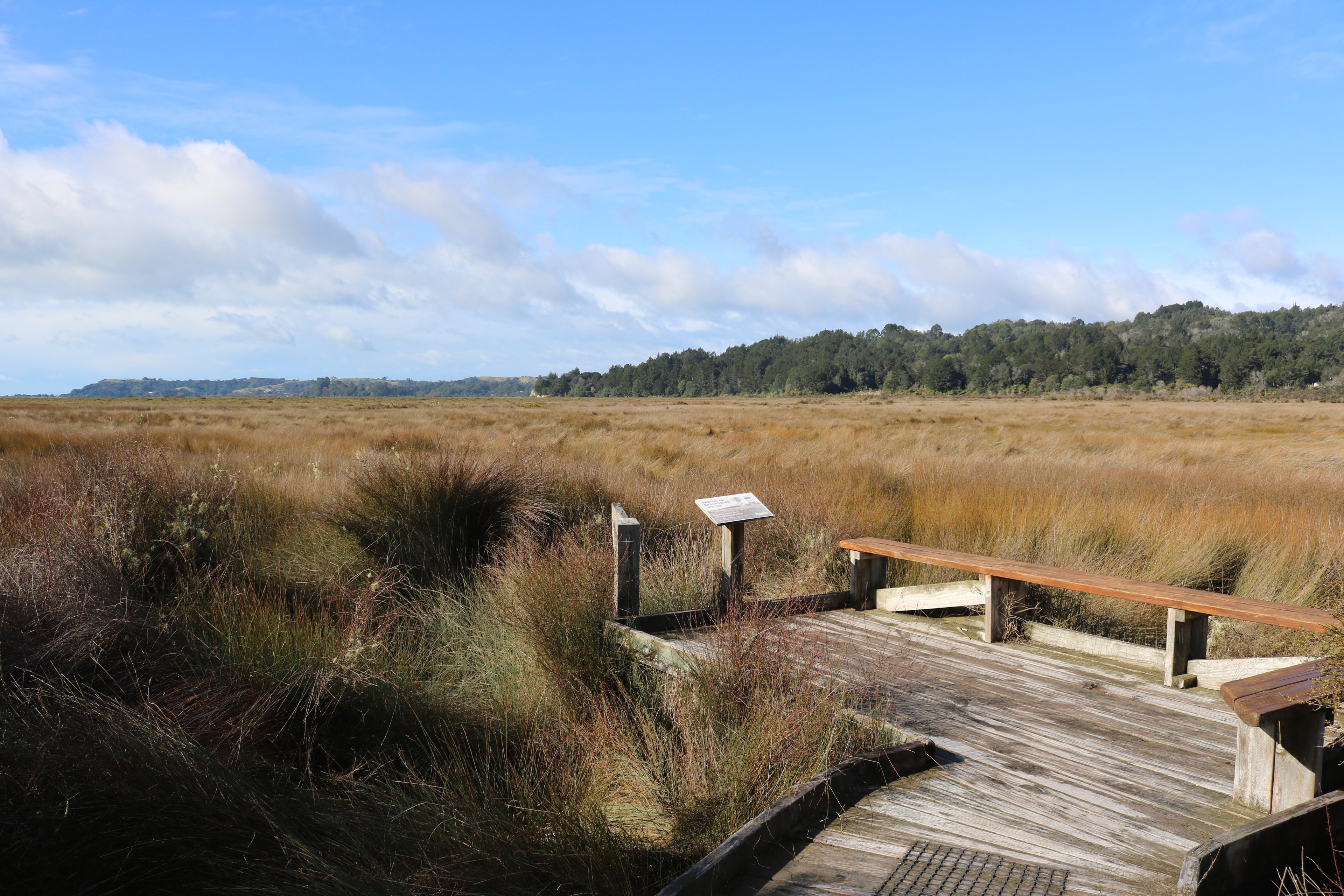 Nukuhou Saltmarsh