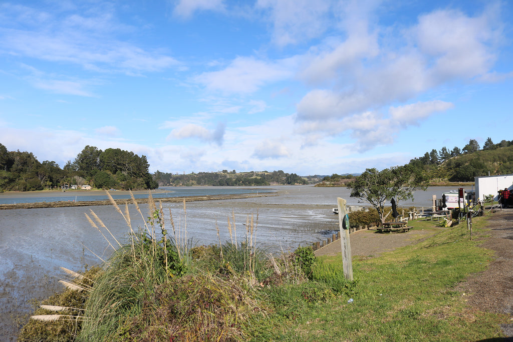 Ohiwa Oyster Farm