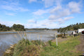 Ohiwa Oyster Farm